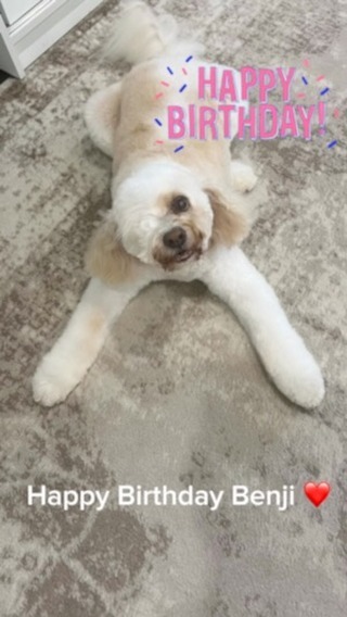 Happy 11th Birthday Benji