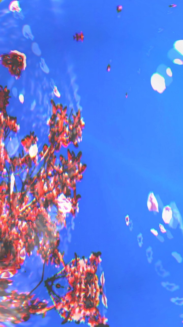 First single from Fire For The People is out! Check out “Persephone” and stay tuned for their debut album coming soon. Mixed by Harrison 🌀
#fireforthepeople #jamband #santafemusic #newmusic