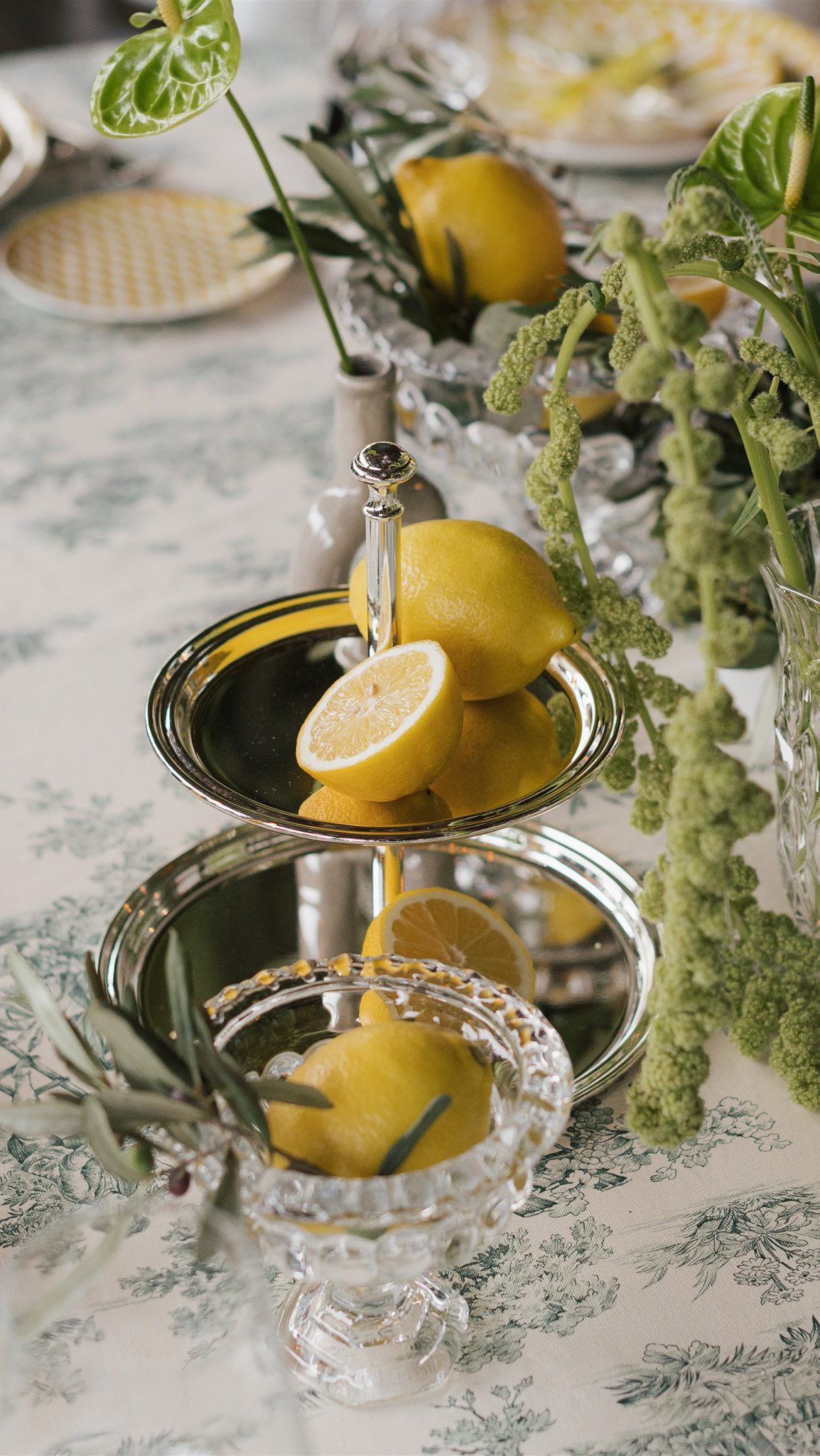 Whoop whoop 🫶🏽🫶🏽🫶🏽
Citruslove in Italia
Wie cool ist diese Mega gut abgestimmte Deko?
Es war wirklich ein ganz besonderer Vibe in Sirmione 🤍
Zumal uns am Anfang das Wetter echt einen Strich durch die Rechnung gemacht hatte
Welchen Dienstleistern sind auch schon unvorhersehbare Dinge auf einem Event passiert?
#reallifestories #dienstleister #florist #floristenleben #flowers #blumen #destinationwedding #wedding #lovemyjob