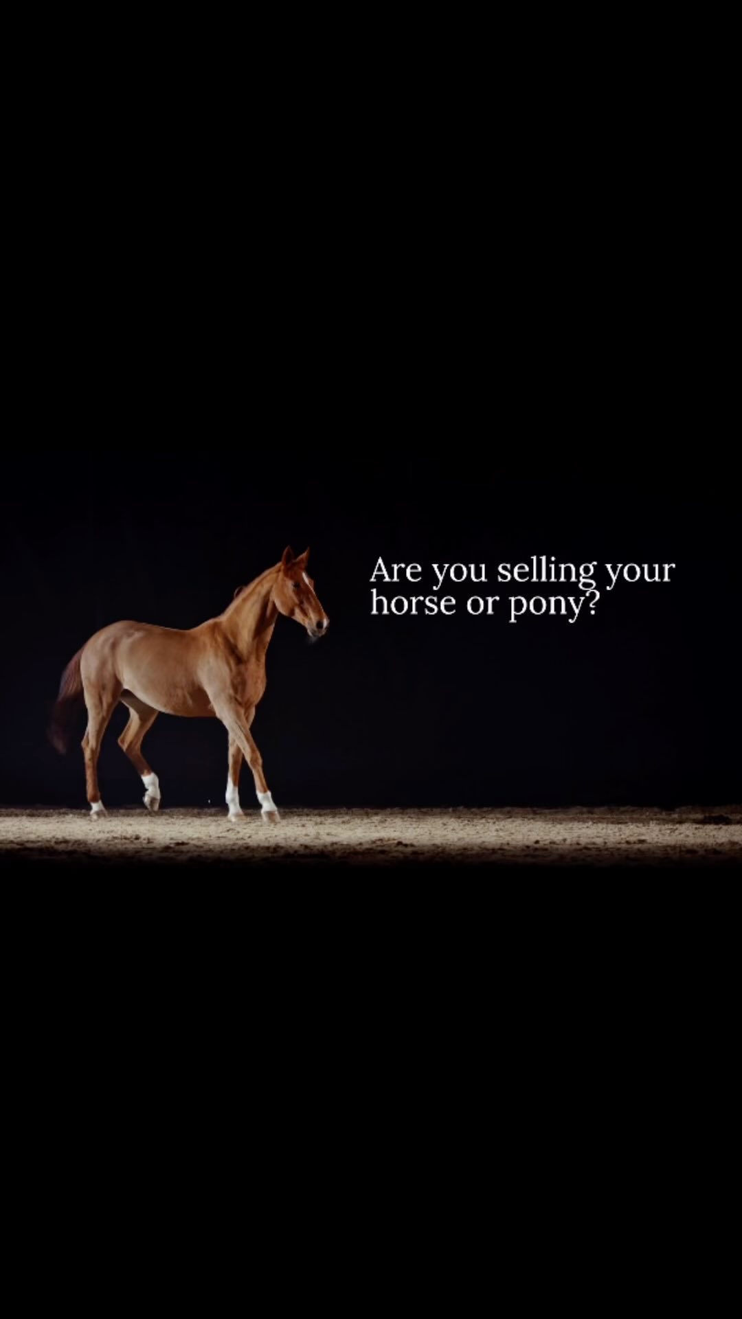 Time to grab your chance to advertise your horse for free!!!
DM us for more information
#horselinx #horse #showjumping #dressage #eventing #driving #equastrian #marketplace #equine #crosscountry #horsestagram #horsegram #horsesplanet #equestrianlife #free #advertising #advertisement #sellyourhorse