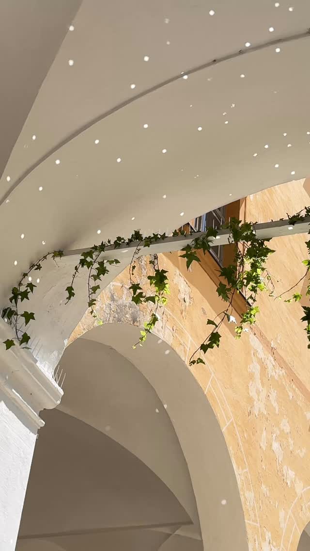 🎉 Du planst gerade Hochzeit, Geburtstag oder Firmenfeier in Niederösterreich? Unsere moderne Fotobox sorgt für Spaß, unvergessliche Erinnerungen und hochwertige Fotos – direkt zum Mitnehmen 📸✨
💍 Egal ob elegante Hochzeit oder ausgelassene Party – die Fotobox ist das Highlight auf jedem Event! Mit individuellen Designs, Requisiten und Sofortdruck bleibt kein Wunsch offen.
Jetzt anfragen & Wunschtermin sichern – bevor es jemand anderes tut! 😉
#hochzeitniederösterreich #fotoboxmieten #eventplanung #hochzeit2025 #partyhighlight