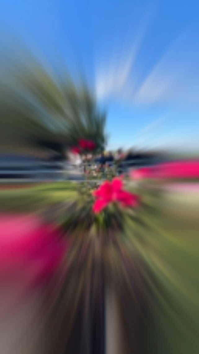 @destinationlgweddings
@ridgelakegeneva