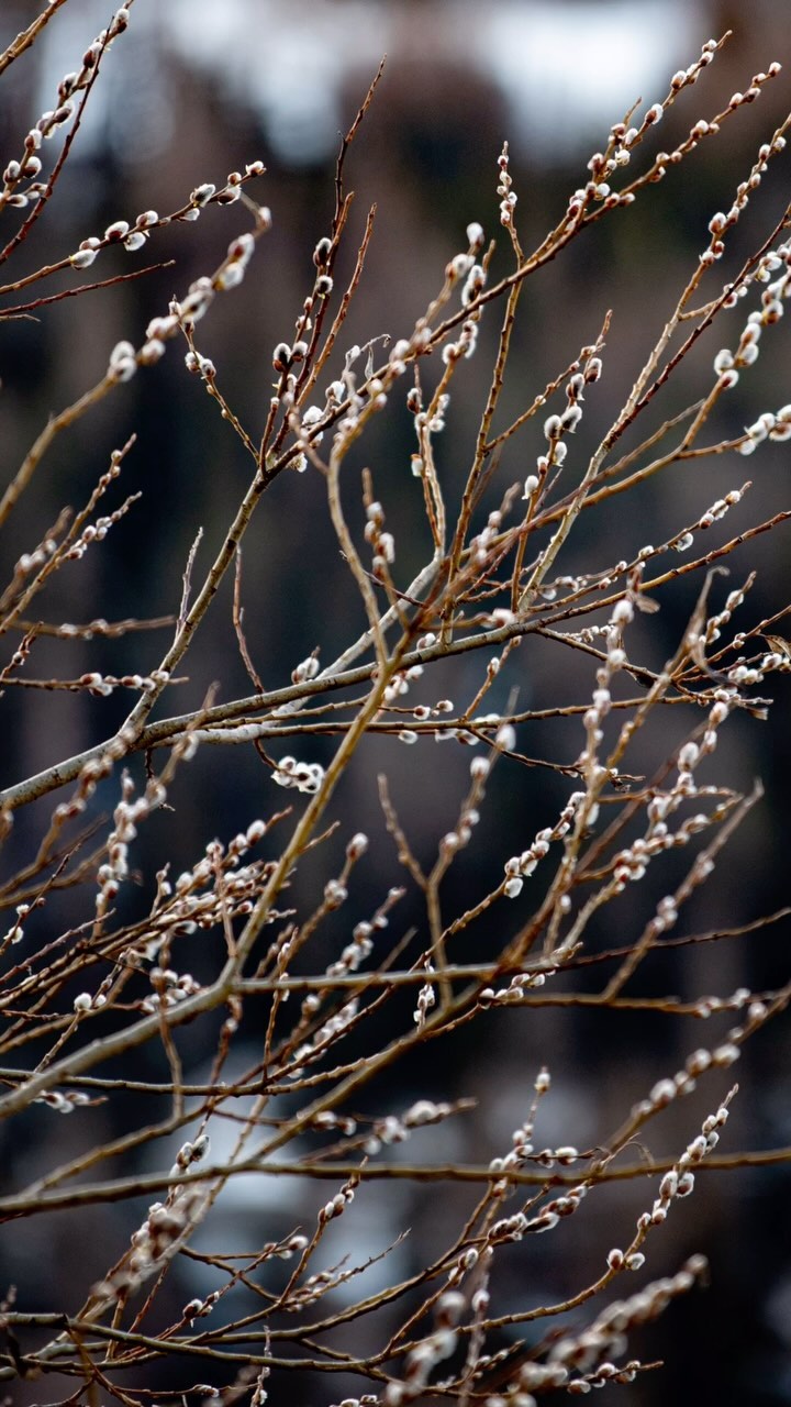 Engadin, Samnaun, Valsot ☀️❄️