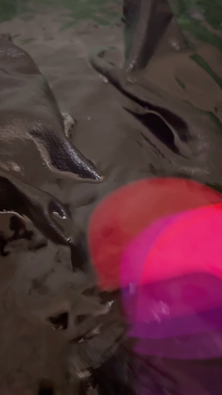 Playing with fabrics. Playing with filters.
It’s been a minute since I’ve experimented with textiles. Once upon a time, I dabbled in costume design for theater projects in NYC. And there was the t-shirt collection my sister and I created.
And now, we’ll see how dyeing jeans turns out. 🤞🏽
#reduce #reuse #recycle #fabrics #textiles #ritdye