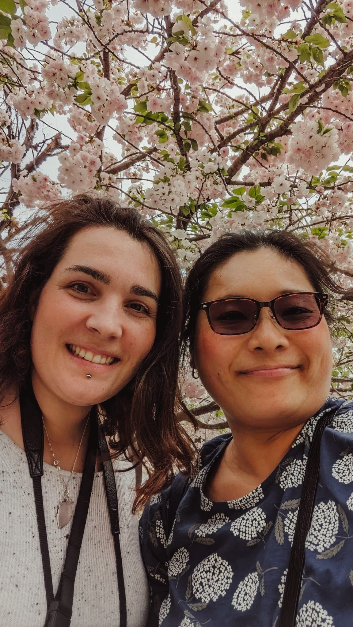 Compte rendu express d’une journée parfaite avec mon amie @fumieakakesweets
Découvrir les sushis dans un restaurant « omakase » a été l’une des plus belles expériences de ma vie. Je n’aurais jamais osé y aller seule, mais j’ai eu de la chance de l’avoir avec moi car elle a pu traduire toutes les conversations avec le chef sushi 🍣
J’ai donc su exactement ce que je mangeais; pas dans le sens que ça me fait peur de ne pas savoir mais comme je suis une vraie épicurienne j’aime goûter à tout et connaître l’ingrédient exact ça a clairement embellit mon expérience !
C’était incroyable ! Et lorsque le chef s’est intéressé à en savoir plus sur mon métier de céramiste, c’était un moment assez magique.
Avec Fumie, nous adorons les sakuras 🌸, alors nous sommes allées les observer dans un parc juste à côté du restaurant et nous avons pris des photos souvenirs, très précieuses pour moi.
Ensuite, nous avons passé notre journée à arpenter les magasins de vaisselle japonaise, mais aussi des magasins de pâtisserie car oui, Fumie est pâtissière 👩🏻🍳.
C’était une journée pleine d’échanges sur nos deux métiers et nous avons beaucoup appris, c’était super cool et enrichissant !
Une journée parfaite pour commencer mon mois en solo au Japon, finalement 🗻
ありがとう、史恵さん。あなたと一緒に過ごせて本当に幸せでした
🍶 Kappabashi Dori (rue de la restauration)
🍣 Restaurant @sushi_kaneshou • Tokyo, Asakusa
🌸Taito Kuritsu Fuji Park