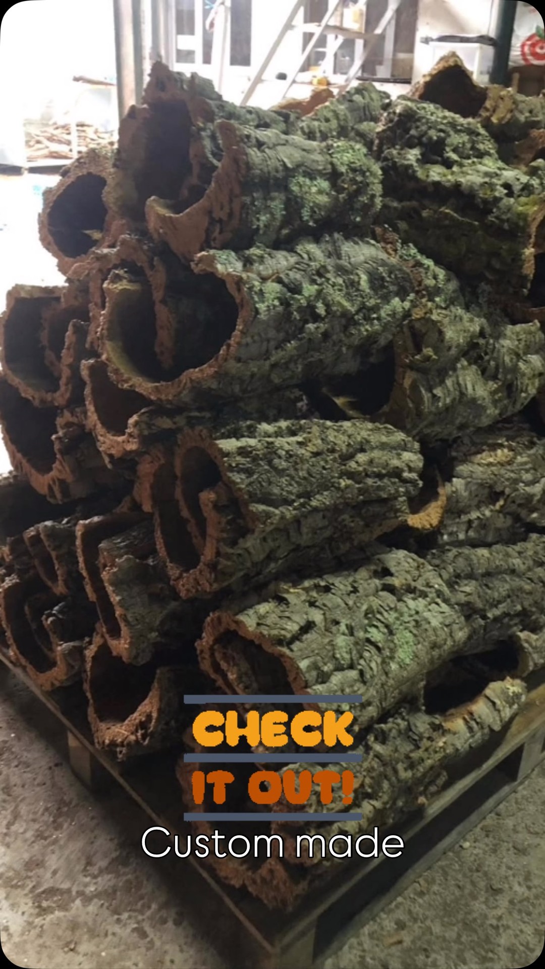 Cork Half Rounds
Costumized Size
#corkbark #reptileterrarium #petenclosure #exoticpet #exoticpets #petshop #animalenclosure #terrarium #geckos #geckobreeder #tarantula #isopod #petsupplies #petsupplystore #petsupply #petexotico #canadianreptileexpo