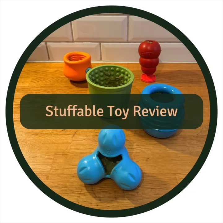 Trying some stuffable dog toys 🐶🍖🧩
Why?
Food enrichment for dogs involves adding variety and complexity to their feeding routine, aiming to improve their quality of life by stimulating their senses, enhancing their diet, and encouraging natural behaviors such as foraging and problem-solving.
What did we try?
Honey Pot from @sodapupdogtoys
Yoggie Pot from @lickimat
Classic Kong by @kongcompany Size M
Tux by @westpawus
Small Zogoflex Toppl by @westpawus
Even though we liked all of these, most of them were a bit too big for a dog his size 🙈 Thus the winner became “Small Zogoflex Toppl by West Paw” 🏆
Pro tip 👉 Always have a couple of these toys ready in the freezer. They’re perfect for those moments when you or your pup need a quick, calming break ❄️🐶
A little word of caution - supervision is key, especially for our enthusiastic chewers or those who might find the challenge a tad frustrating. It's all about ensuring it's a fun and relaxing time for your dog 🚨❤️
This review isn't sponsored.
#dogenrichment #mentalstimulation #dogtoyreview