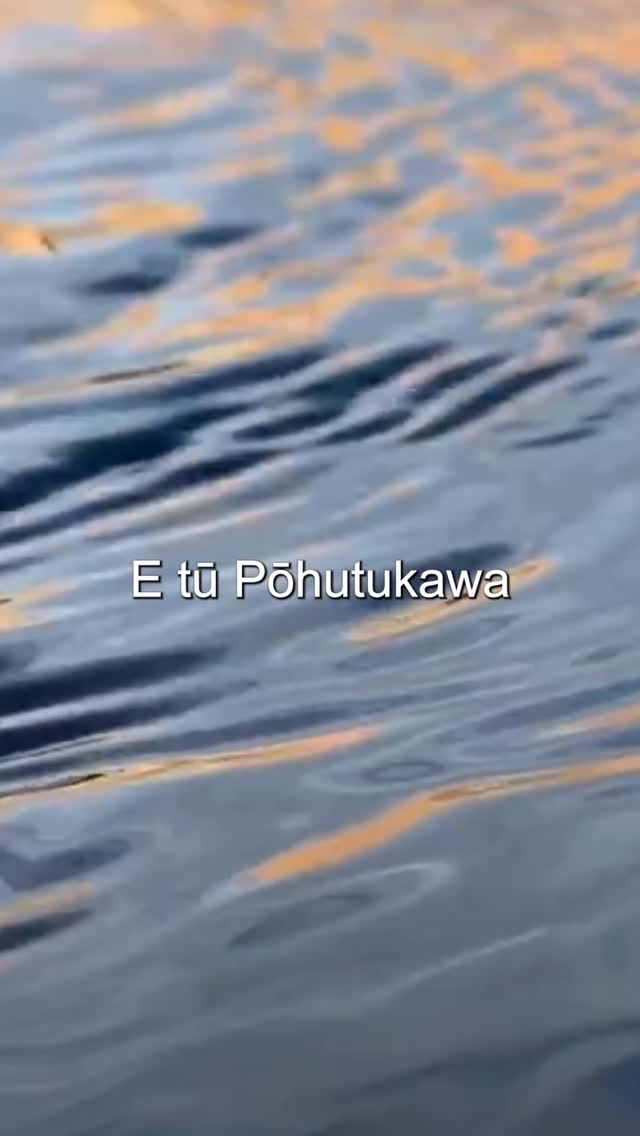 Mānawatia a Matariki
Karakia by Dr Rangi Mātamua
Tūturu te noho
Tūturu te hono
Tūturu ake nei
Mō Kā Uri | Kāi Tahu 2050