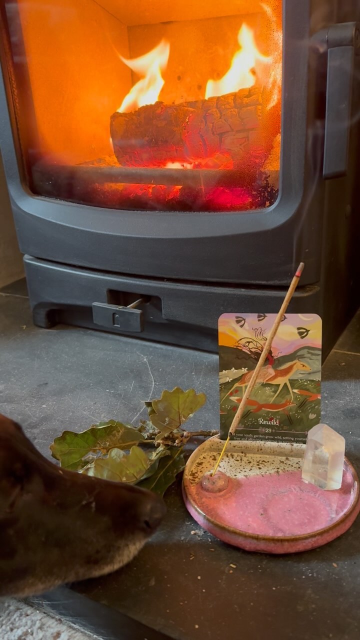 Alter thief!!! Merlin is fascinated with my new altar tray from @speckledearthpottery - he even went as far as pinching the oak leaves 🤭 #altar #altarspace #pottery #sacredspace