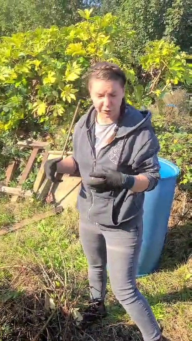 Autumn is the perfect time to try out making your own compost as there is lots of surplus waste.
There are lots of benefits to making your own compost like reducing plastic waste and carbon emissions from buying compost, but the bigger benefit is to your garden/plot as store-bought compost all the important insects that keep soil healthy. 4:1 green waste to brown waste.
Green waste is plant material, food waste & grass which we have a lot of! Browns are trees branches, wood, leaves and cardboard.
Try it for yourself or stay tuned and see what happens with mine!
#allotmentlife #organicgardening #gyo #allotmentlove #compost #makingcompost