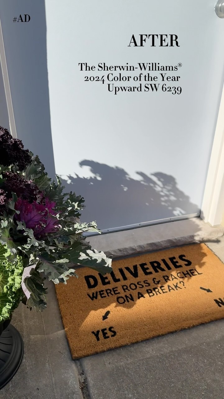 I finally painted my long-neglected back door using the @sherwinwilliams 2024 Color of the Year, Upward SW 6239! #ad As a designer, I always appreciate the transformative power of paint, and I love this color for the exterior. It’s a light, calming blue that sparks creativity for upcoming projects, giving us designers the opportunity to illustrate to our clients how one can truly make color their own. Check out the link in my bio to see how Upward can inspire you for your next client project! @swdesignpros #SWColorLove #SWColoroftheYear