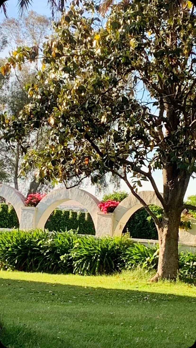 Mayo, el mes más bonito del año 🌸