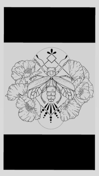 “Fireflies & Poppies” coming to the store soon!!
Click the link in my bio to see what’s in stock, and join our email list to be the first to know when new products drop and what fun new projects are in the works! ( www.geckoridgegraphics.com )
#graphicdesign #design #digitalart #digitalmarketing #graphicdesigner #graphics #creative #designinspiration #graphic #artist #digitalillustration #illustration #logodesign #smallbusiness #sketchbook #nature #flora #fauna #flowers #animals #trees #mountains #environment #designwork #procreate #poppies #firefly #color #tattoo