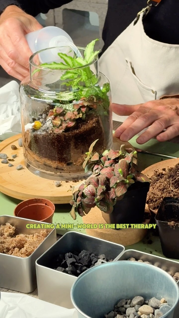 Looking for a unique experience in Vancouver? Create, relax, and connect with nature at our terrarium workshop! 🌱
#thingstodoinvancouver #plantlover #vancouveractivities #dateideas #terrariumworkshop #planttherapy #greenescape