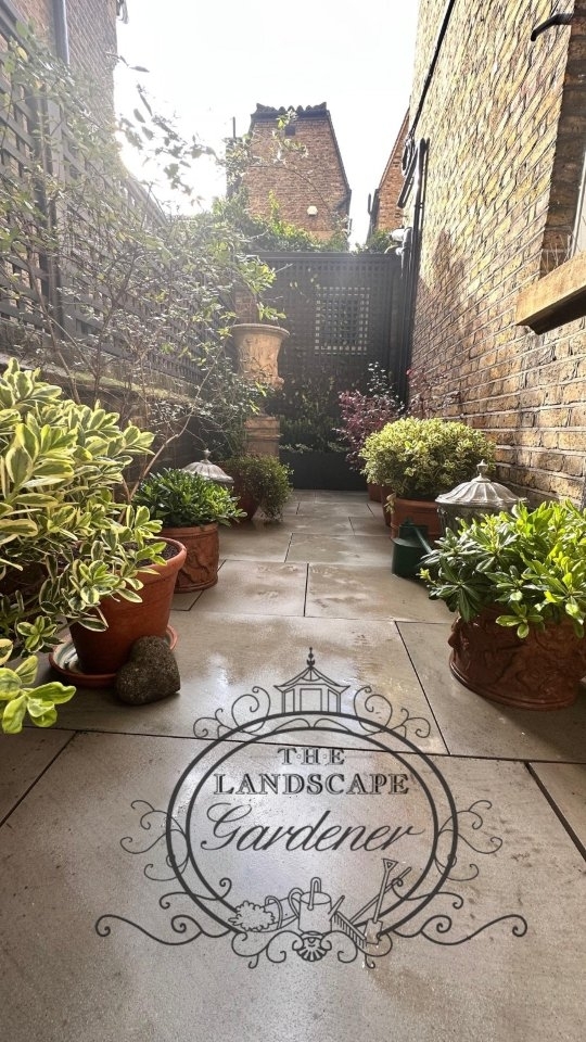 Delighted to present this small yet charming project, showcasing a variety of plants chosen for both their beauty and resilience. You’ll see an elegant arrangement of lush greenery, including ferns that bring texture and depth, along with blooming foliage that adds vibrant touches of colour. The combination of broad, rich leaves and delicate flowers creates a harmonious atmosphere, designed to thrive in diverse spaces.
We would be thrilled to bring this natural beauty to your environment. Let our design and maintenance services transform your spaces into green havens that flourish all year around.
#london #garden #chelsea #chelseagardener #fulham #Clapham #South Kensington #beautiful gardens #plants #gardenMaintenance #belgravia