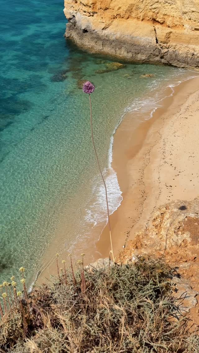 Summer is here. Waters are clear. 💙🩵
#algarveportugal #algarve #algarvealive #algarvecoast #portugaltravel