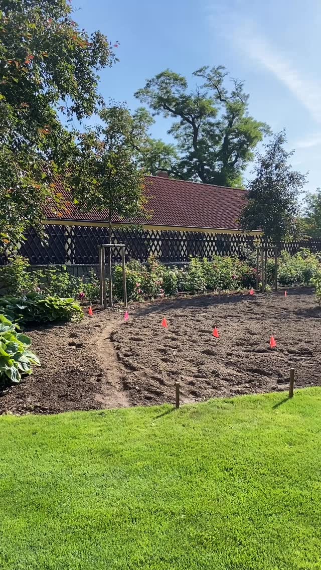 Rozmístění téměř 3700 trvalek za 1 den je rekord, který asi jen tak nic nepřekoná (a trochu v to i doufám). :)
U tak rozsáhlých akcí je zásadní dobrá spolupráce. Jak s klientem, tak s realizační firmou. Samotné výsadbě trvalek totiž předchází dokončení stavebních a terénních úprav, odplevelení plochy, navezení různých zlepšujících materiálů, mechanická příprava půdy, dovoz a výsadba dřevin…. Když do toho kulhá komunikace, nebo chybí patřičné znalosti, vzniká mnoho prostoru pro chybu.
Díky patří mistru zahradnickému Honzovi Candrovi, se kterým jsme včerejší martyrium absolvovali společně a jeho dvěma borcům, kteří za námi celý den sázeli (a ještě nějakou dobu sázet budou).
Za rok snad budou fotky kvetoucích vln. 💚