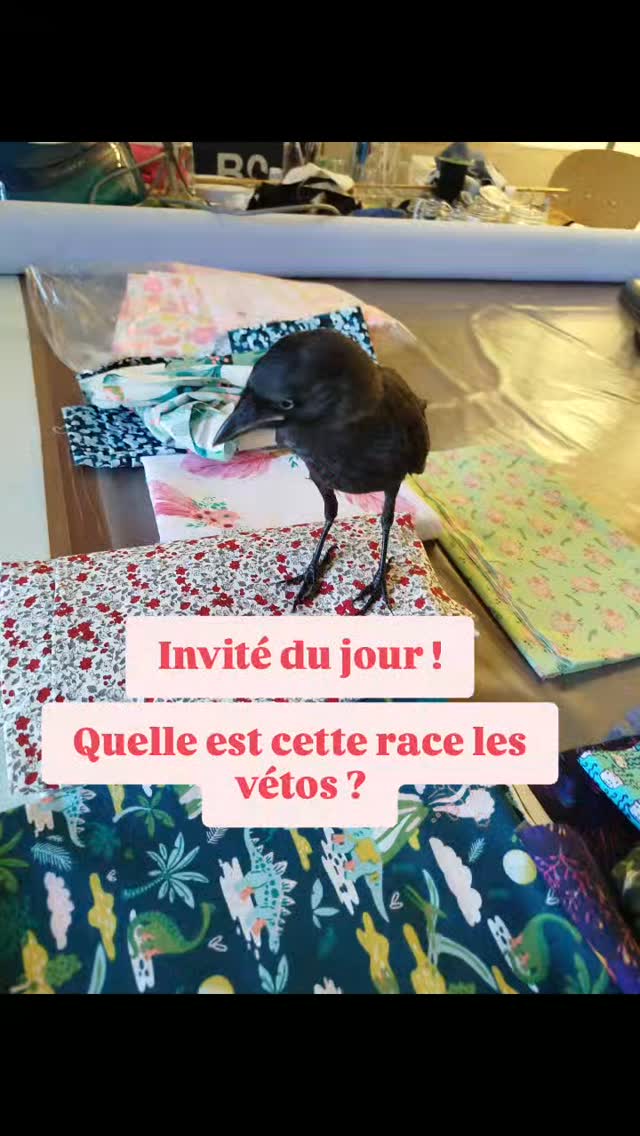 Un invité surprise peu ordinaire !
#veterinaire#asv#soigneur#soigneuranimalier