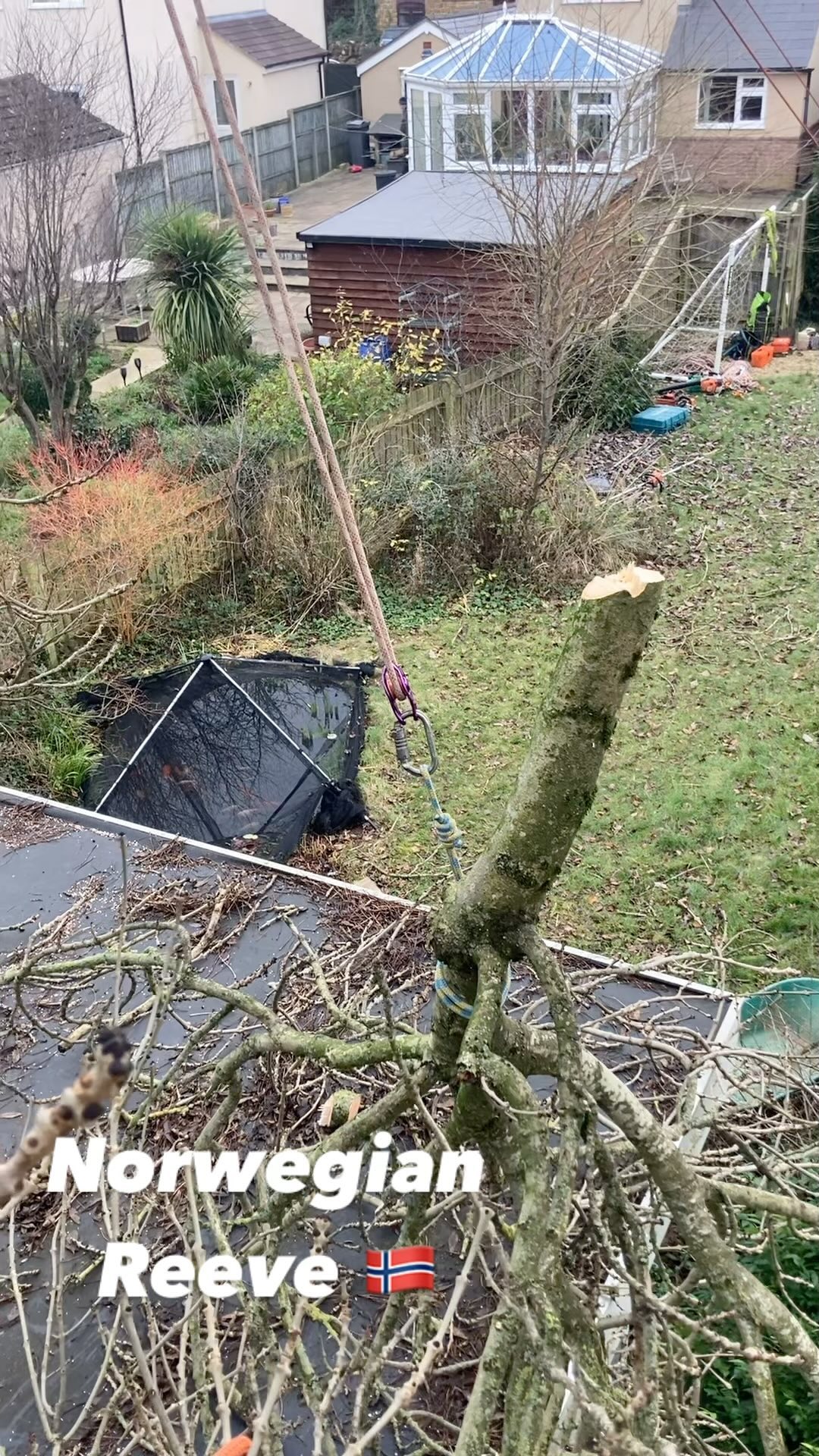 Great opportunity to perfect the #norwegianreeve utilising the #petzlreeve carriage to carry out a crown reduction on a wide spanning Common Ash with no drop zone to multiple structures below π«£π
Thanks to @jake.arb on the #grcs and Graham at Treecreeper Arborists for the opportunity and trust in my skills ππ
#treework #arborist #treesurgery #treerigging #arblife #arbcontractor #reevesystem #altarbltd #treecreeperarborists