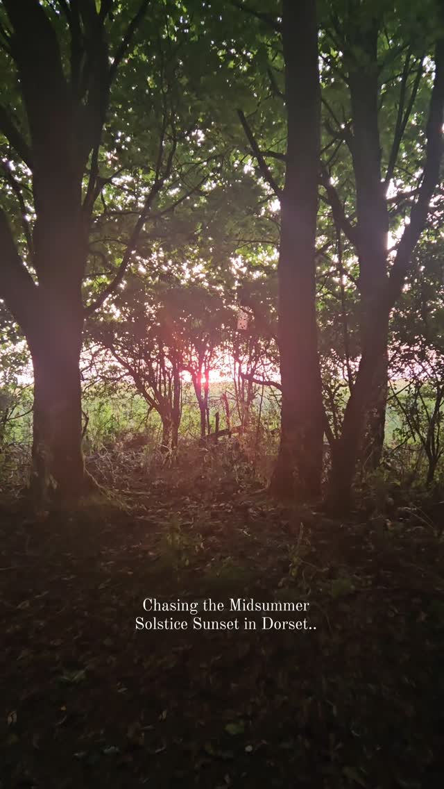 Its become a bit of thing since living in Dorset to watch sunsets.. but most importantly sunset on 21st June. Favourite locations are Cogdon Beach, Knowlton Church, Portland, Hambledon Hill and off course.my favourite Oakeford Hill. Which is tonight's location.
Its been a busy week here... so taking a moment to sit with the larks, hounds and Hubby was a joy. Love seeing all the other people who scatter the Hill to watch...
HAPPY Midsummer...
#dorset #dorsetflorist #dorsetlife #dorsetliving #dorsetartist #Midsummer #dorsetcounty