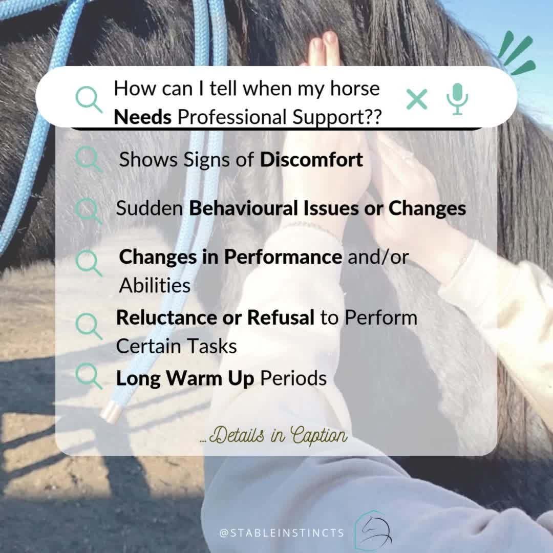 Itโs important to recognize when your horse needs professional help
โข
As much as we as owners try, we can be limited in our ability to help them. By knowing the general signs, it helps us be proactive and informed!!
โข
Have you noticed any of these??
โ Discomfort
โBehaviour issues
โPerformance hinderance
โ Reluctance or refusal to perform tasks
โ Inability to properly warm up
If your horse has been experiencing any of these, it might be time to get a second opinion.
โข
Looking for a professional to help you out?? Feel free to reach out to ask if my services are right for you!! If you are wanting to book my services, please DM, email or book on my website!!