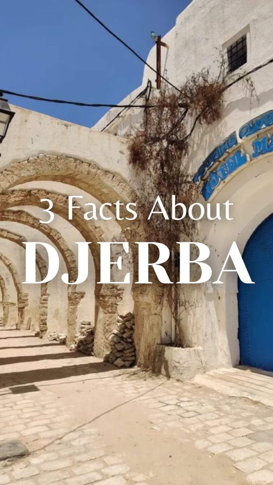 🌴✨Discover Djerba with these 3 facts you probably didn’t know!
.
Intrigued by what you learned? Comment below if you’d like to visit this fascinating island! 🌍👇
.
#discover #didyouknow #facts #explore #islandlife #djerba #djerbahood #travel #travelphotography #tunisia
