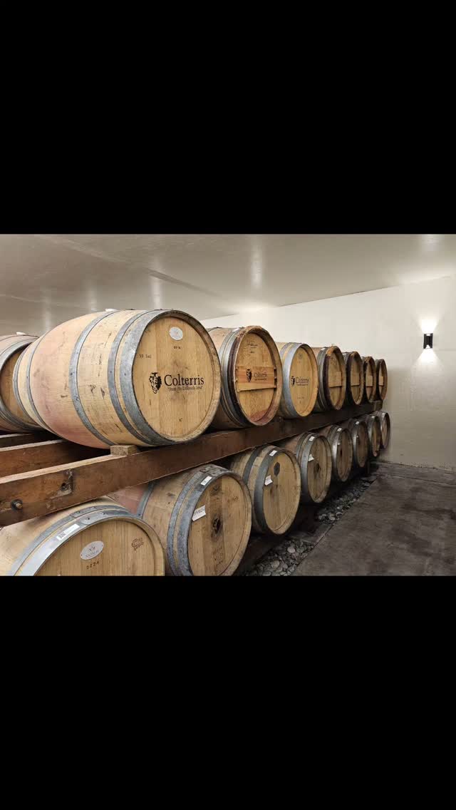 š¾š„Surprise anniversary celebration! It was an honor to help this lovely family celebrate their parents' 55th wedding anniversary! Thank you to everyone at @colterriswines @granderivervineyards and @carlsonvineyards for rolling out the red carpet for these special guests!
#gvgrapesandgrains #anniversary #winetasting #winetour #palisadecolorado #drinkcoloradowine #westslopebestslope