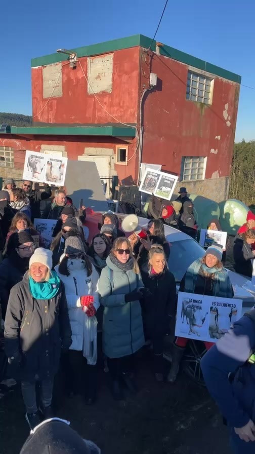 Estás vacas no se tocan.
@lamanadacantabra