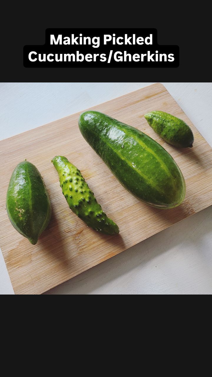 My niece is a massive fan of pickled anything, so I promised her that this year, I would make her some homemade pickled cucumbers!
This is the last cucumber harvest. Salting the cucumbers overnight makes them extra crunchy, and it didn't take long to throw everything together.
She absolutely loved the end result. Half the jar has already gone! So well worth the effort for any pickle lovers and a great way to prolong your vegetable life.
#allotmentlove #gyo #allotmentuk #organicfood #pickling #growyourown #picklerecipe