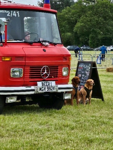 It was wagging tails at the Banningham dog and food festival over the weekend.
We provided the vendors with secure, reliable portable wifi, so they could use their card machines when customers purchased their exciting goods. We met some amazing talented stall holders and some equally happy dogs! 🐕🦺
Not everyone carries cash these days and wifi is not always reliable but Norfolk Comms can help without door events as well as everyday broadband and wifi.
www.norfolkcomms.com
#banningham #aylsham #outdoorevents #portablewifi #northnorfolk #festiwal #northnorfolkhomes #northnorfolkliving #wifi #cardmachines #dogshow