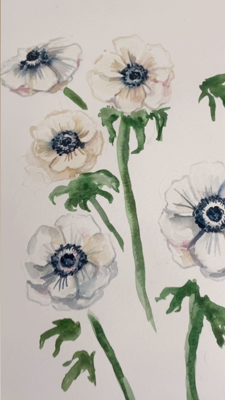 Letโs pick a flower and paint it from my new @putnamflowers book!! Loving all this flower inspiration!
This is the Anemone of the De Caen Group White and itโs definitely a fav!
๐๐ซถ #fridayflorals #floraldesign #flowers #watercolorflorals #watercolor #watercolorflowers #watercolorartist #flowerphotography