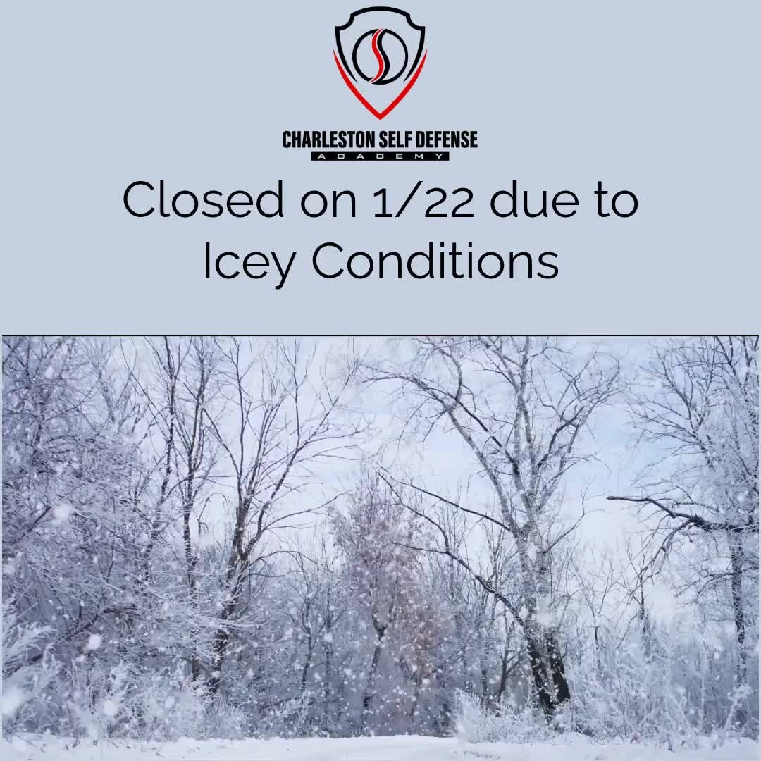 Charleston Self Defense Academy is closed for all classes this evening due to icy conditions and lack of accessibility at the Northwoods Mall facility (the mall is closed).
Stay safe, and make a snowman!
See you soon.