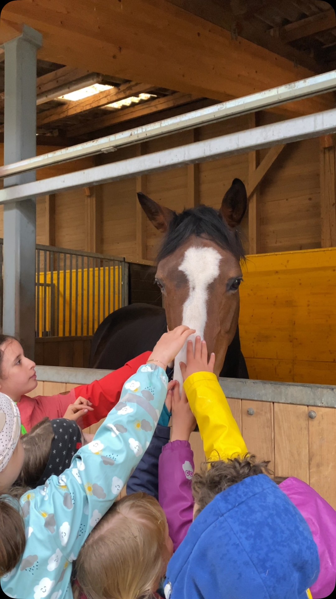 Heute war was Los auf unserem „Ponyhof“ Striegeln, Reiten und ganz viel Lachen standen auf dem Programm. 🐴✨ Neugierig auf mehr? Schau auf unserer Homepage vorbei und entdecke die nächsten Termine.
@faeger_bern #ponyhofabenteuer #reitenmitspass #pferdeliebe #kinderundpferde #ponyhoferlebnis #outdoorfun