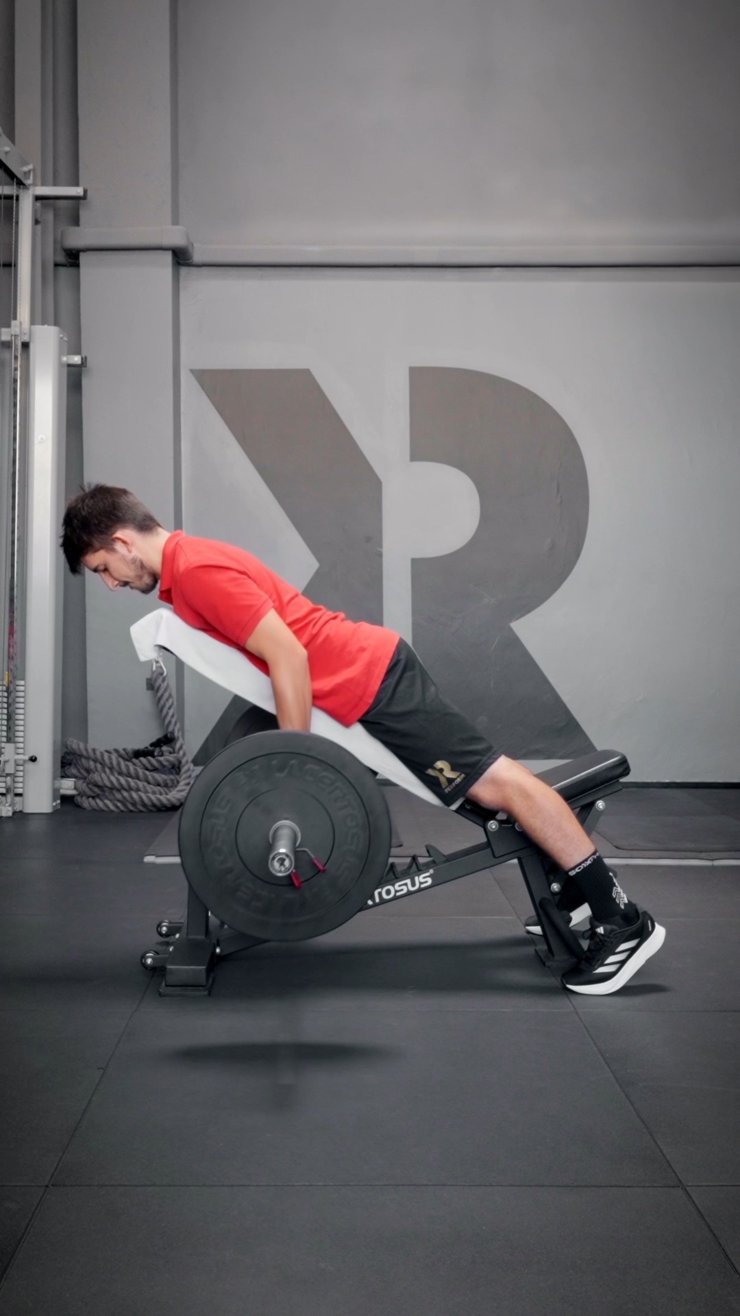 Il rematore con bilanciere è un esercizio multiarticolare che coinvolge principalmente i muscoli del dorso.
Durante l'esecuzione, con il busto appoggiato a una panca inclinata, è importante prestare attenzione a due aspetti fondamentali: la colonna vertebrale deve mantenere le sue curve fisiologiche, e il petto deve essere aperto con le spalle addotte (basse). Per massimizzare l'attivazione del gran dorsale, i gomiti vanno mantenuti vicini al busto, con un movimento perpendicolare rispetto a esso.
Gli errori più comuni includono chiudere il petto, alzare le spalle e perdere le curve fisiologiche della schiena, tutti fattori che possono aumentare il rischio di infortuni.
Oltre al gran dorsale, che è il muscolo principale coinvolto, partecipano all'esercizio anche il gran rotondo, il trapezio, il deltoide posteriore, i muscoli lombari e i muscoli paravertebrali del rachide.
#training #performsmc #mylifepartner