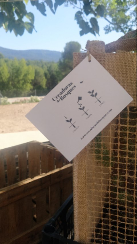 Colaboraciones con personas TOP
Preparar pedidos es maravilloso y saber que confiáis en nosotras para vuestros eventos, retiros y regalos especiales nos llena.
Ser Green es una elección. Construir una vida llena de valores sostenibles y alineados con el bajo impacto hacia el medio ambiente también.
Así que si estás en este MOOD eres una de Nosotras y queremos que seas parte de la comunidad, parte del cambio real y en femenino.
Apúntate ahora a nuestra NL. Apúntate como voluntaria y ven a plantar el próximo invierno, o simplemente infórmate de alguno de nuestros productos para ti o tu marca.
Estaremos para contestar todas tus dudas y preguntas. Súmate a crear el mundo verde que queremos a través de pequeños gestos conscientes.
✨ Este reel lo grabamos mientras preparábamos los regalitos en forma de arbolado para el retiro de @bloganaalbiol . Gracias Ana por confiar en Creadoras una vez más. 💚
#creadorasdebosques
#regalosgreen
#mujeresconectadas
#conectadasalatierra