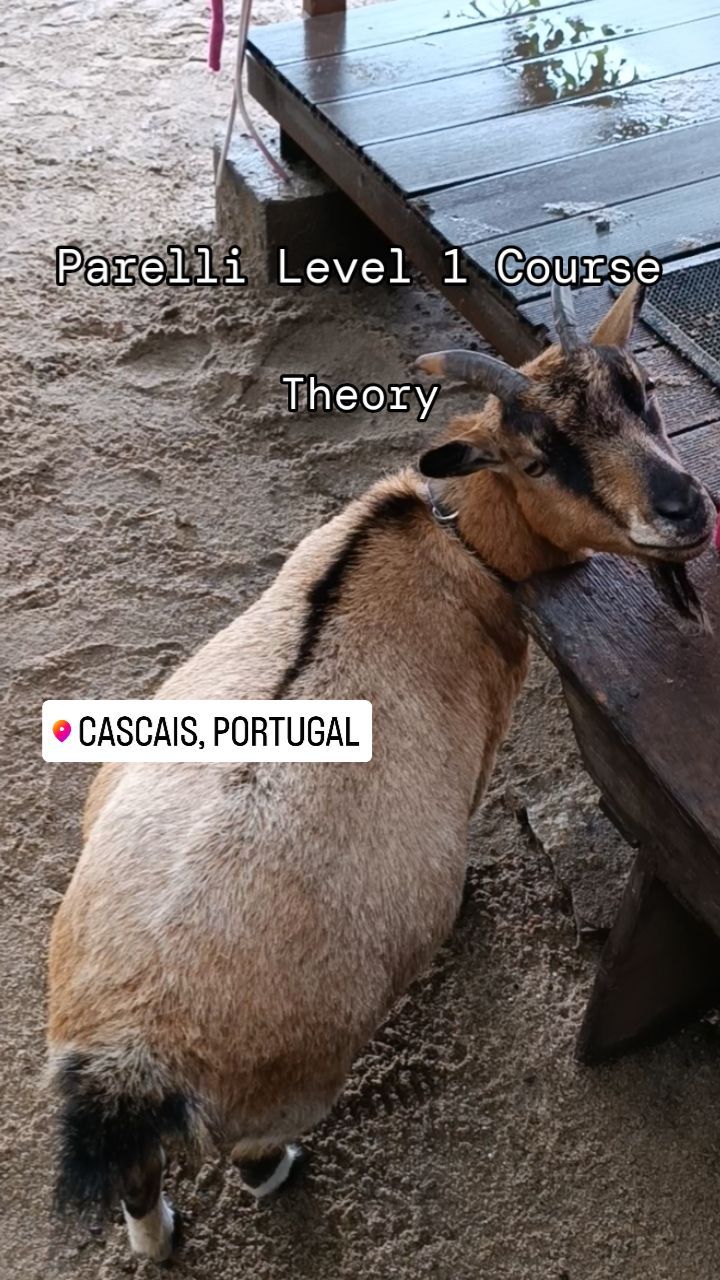 The level 1 course hosted by @alma_gitana_horses last weekend was such a success that we spontaneously decided to organize another level 1 course for next weekend, July 13th and 14th.
Send a message or comment if you're interested in learning how to connect and communicate with horses naturally.