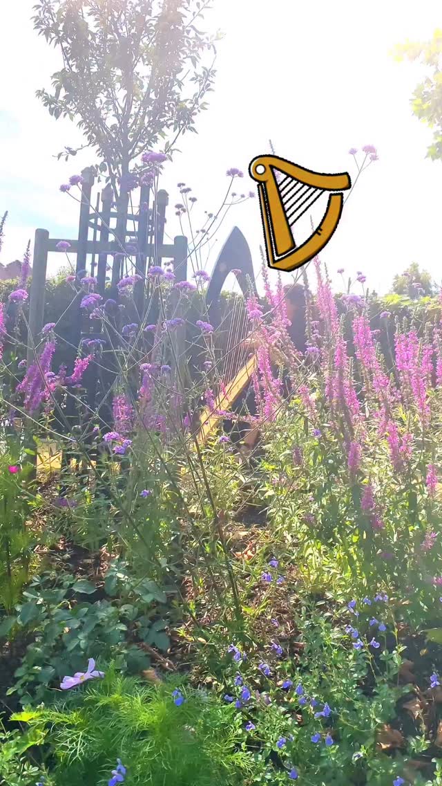 … and in my dreams I’m there again.
In that lavender haze of mountain thyme,
where the world forgot to hurt us
and time forgot to pass.
We are barefoot — you, me, our little girl…
running like the wind could carry us to eternity.
Our dogs, all of them, leaping ahead, barking and chasing into the golden hue,
and the earth soft beneath us, forever forgiving.
Our girl’s laughter flying like a lark through the air.
And you look at me —
that look I will carry like a breath I never finish taking...
We are free.
God, we are free.
I will carry the echo of it.
I will carry it in every note, every dream, every blade of thyme I see in the wild.
You are gone! Oh no, you are gone.
But some part of us is still running there—
barefoot through purple fields,
untouched by time,
unbroken by loss.
And when I play this song,
I go back to that place.
Just for a moment.
Just long enough to remember
what it felt like to be whole…
when no one was missing…
Rachel x