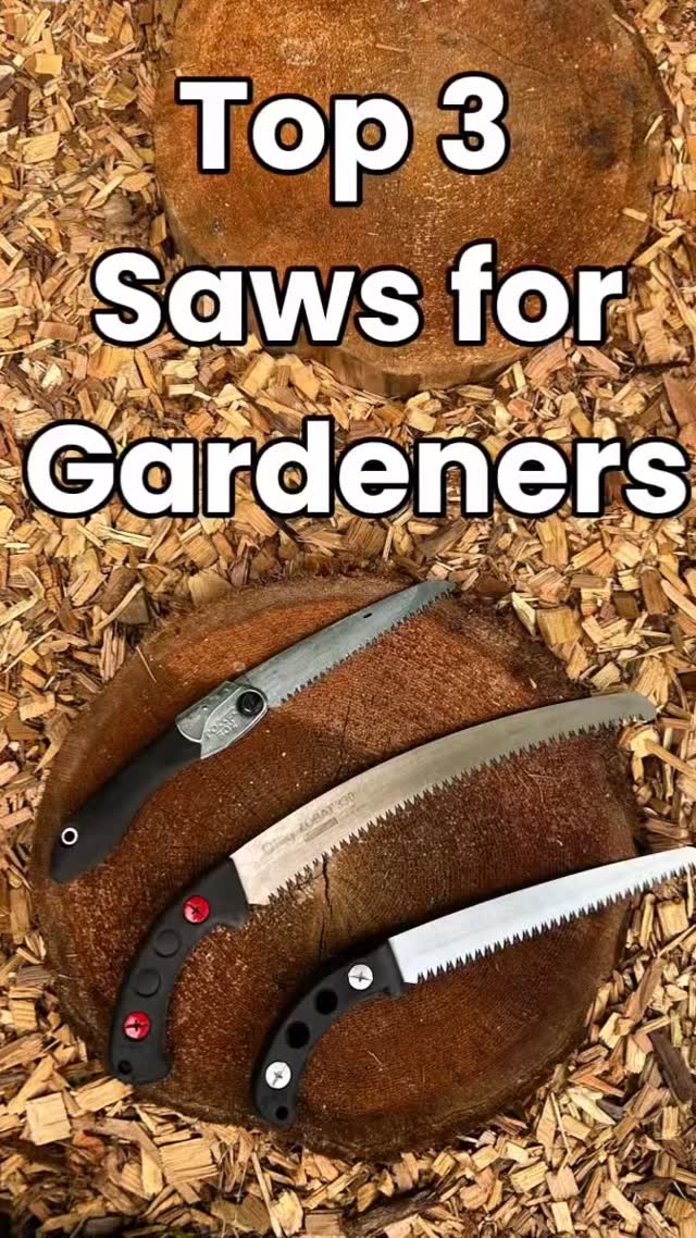 Here are three great Silky saws for gardeners:
1. Pocketboy
2. Zubat
3. Gomtaro Root-cutting
Available at reputable tool shops everywhere:
Vancouver Island - @gardenerskit
Mainland - @bigbeartools
#silkysaw #vancouverislandgardening #ecologicalgardening #treepruning #arboriculture #gardentools #toolsofthetrade #cutslikeaknife