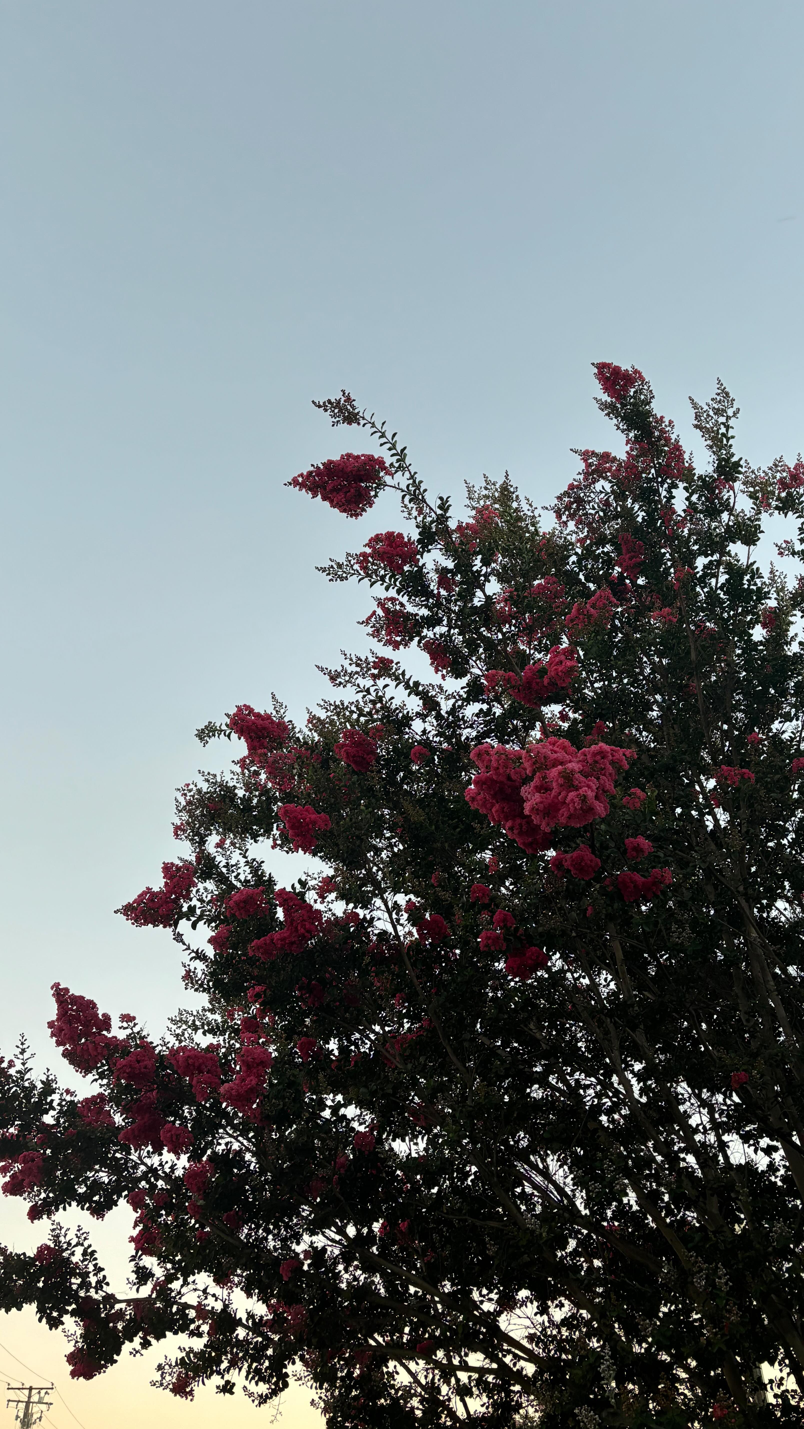 ✨ As alchemists, we specialize in transformation—turning raw materials into something valuable. In therapeutic work, this mirrors our ability to facilitate personal change, helping individuals shift from pain to healing.
To refine our thoughts and emotions, turning challenges into growth opportunities. Through the identification of our patterns and pain points we enlighten ourselves to see where blocks are inhibiting us from our highest selves.
Many of us assume we know our pain points and although some are glaringly obvious others are deeply hidden and arranged within our subconscious programming.
Each therapy session acts as a space for exploration and self-discovery, where we can learn to embrace our experiences and cultivate new opportunity for self development.
Let’s embrace this journey of transformation together, blending practical tools and self-reflection to create a more awakene life. 🧪✨
#Alchemy #Therapy #Transformation #HealingJourney #PersonalGrowth