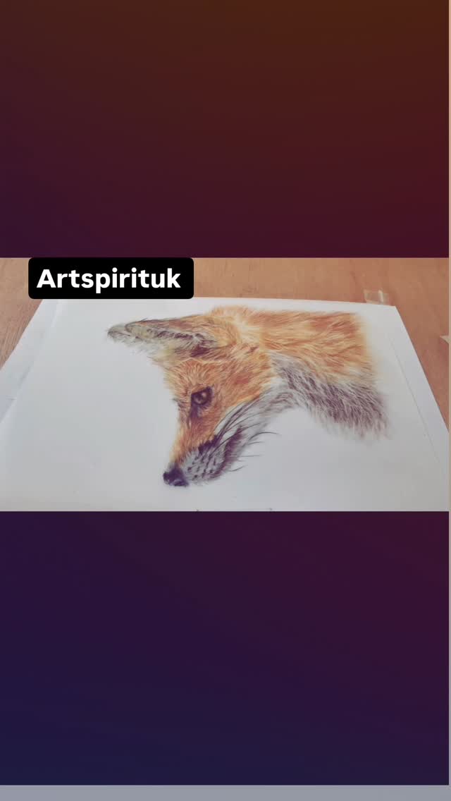 Drawing a fox clip in colour pencilon drafting film. #fox#wildlife#artist#colourpencil #drafting film