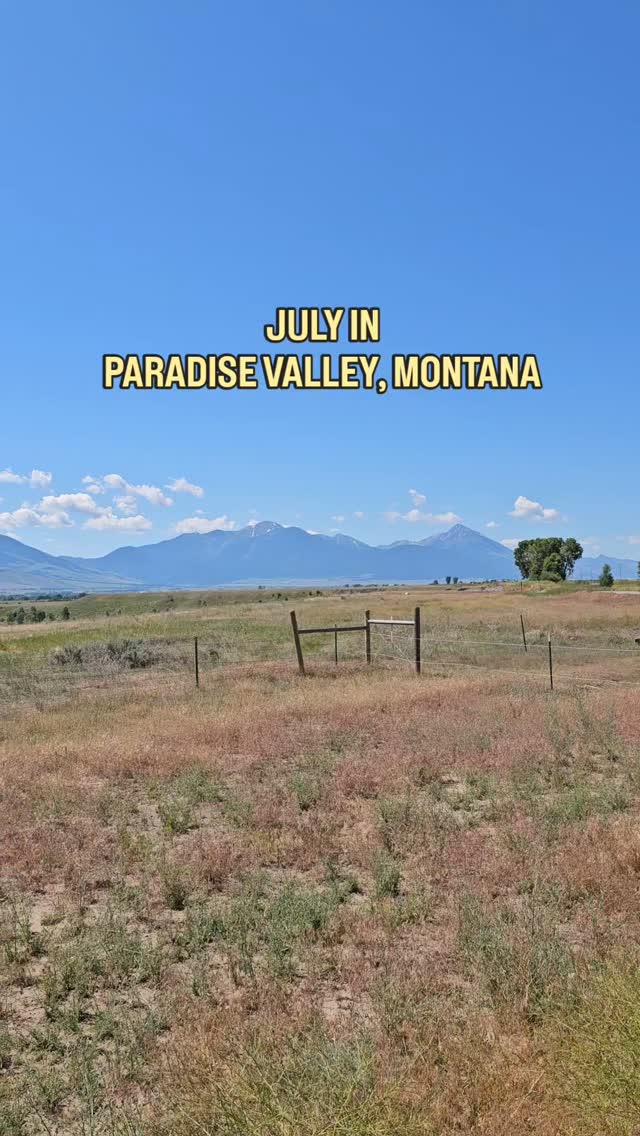 Its a damn good day out here in the Valley for some damn good BBQ.
🌞
#paradisevalley #montana #yellowstoneriver #yellowstonecountry #mountains #valley