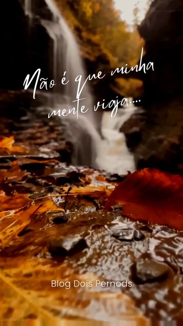 DIAS DE POESIA
Há dias em que a poesia me impregna:
Vejo pedras e imagino flores,
Vejo flores e imagino pássaros.
Não é que minha mente viaja,
É que às vezes coloco nos olhos
Aquilo que trago na alma.
🏷 TAGS: @a.p.a.l.c.a #tobe #blog #blogger #vida #pensamentos #poesia #reflexões #psicologia #filosofia #filosofiamoderna #literaturabrasileiracontemporanea #academiapalmeirensedeletrascienciaseartes #oscarcalixto