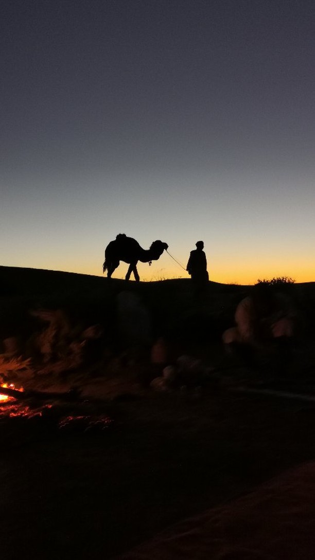 Die endlose Weite der marokkanischen Wüste, die Stille, die tiefe Verbundenheit und eine Reise zu mir selbst. ✨
In meinem neuen Blogartikel teile ich mein Abenteuer in Marokko, wie Yoga und die Wüste mir geholfen haben, innere Ruhe zu finden und mich selbst besser zu verstehen.
Neugierig? Lies mehr über diese Erfahrung: Link in Bio.
#reliefandflow #relief #flow #yoga #yogareise #wüste #yogainderwüste #marokko #ruhe #stille