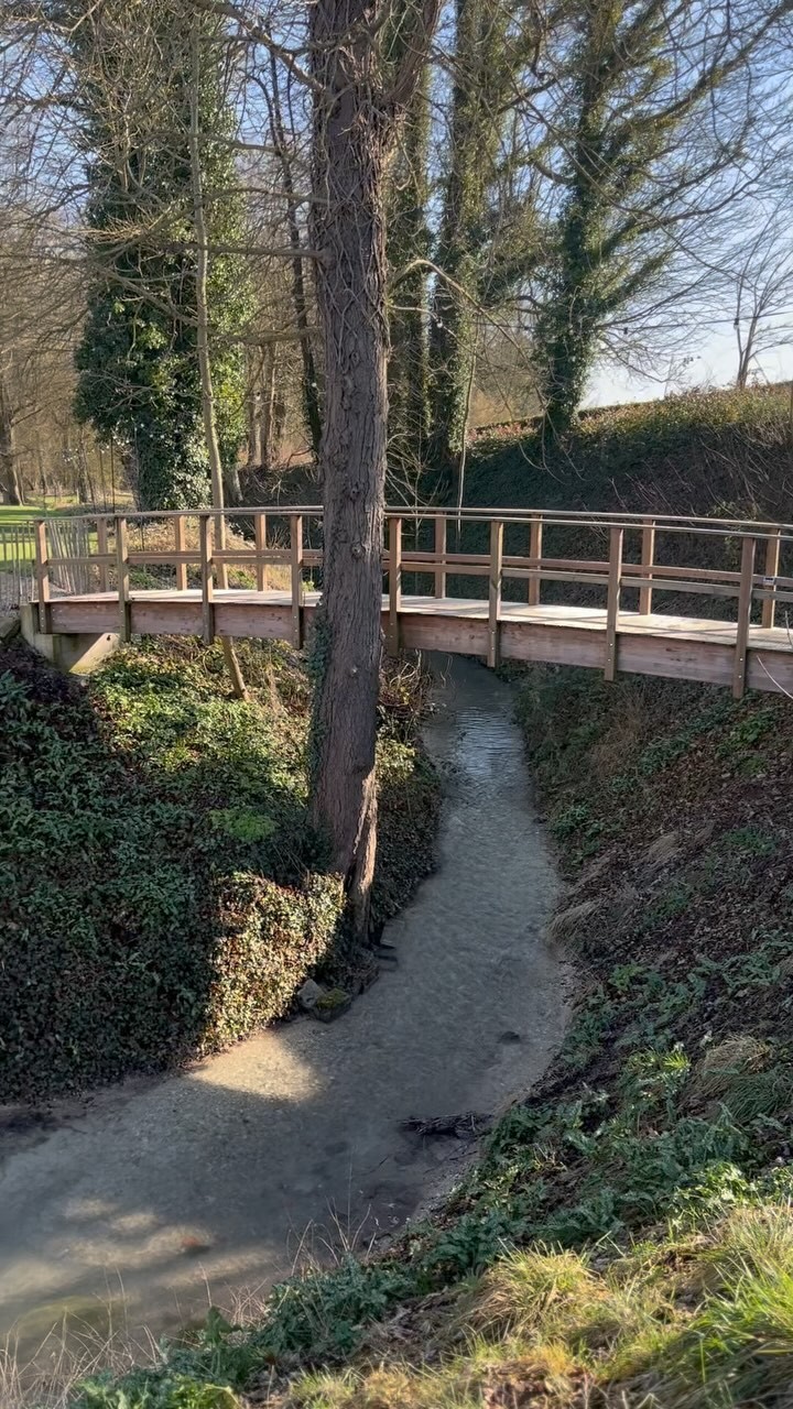 Prendre le temps de regarder le vent, l’eau qui coule, la vie qui arrive.
Lever les yeux vers le ciel et savourer les premiers rayons du soleil.
Pas besoin de mots, juste regarder et prendre le temps 💚
.
.
.
#domainedevaugency #hiver #prendreletemps #prendreletempsdevivre #belleschoses #naturelovers #slowlife