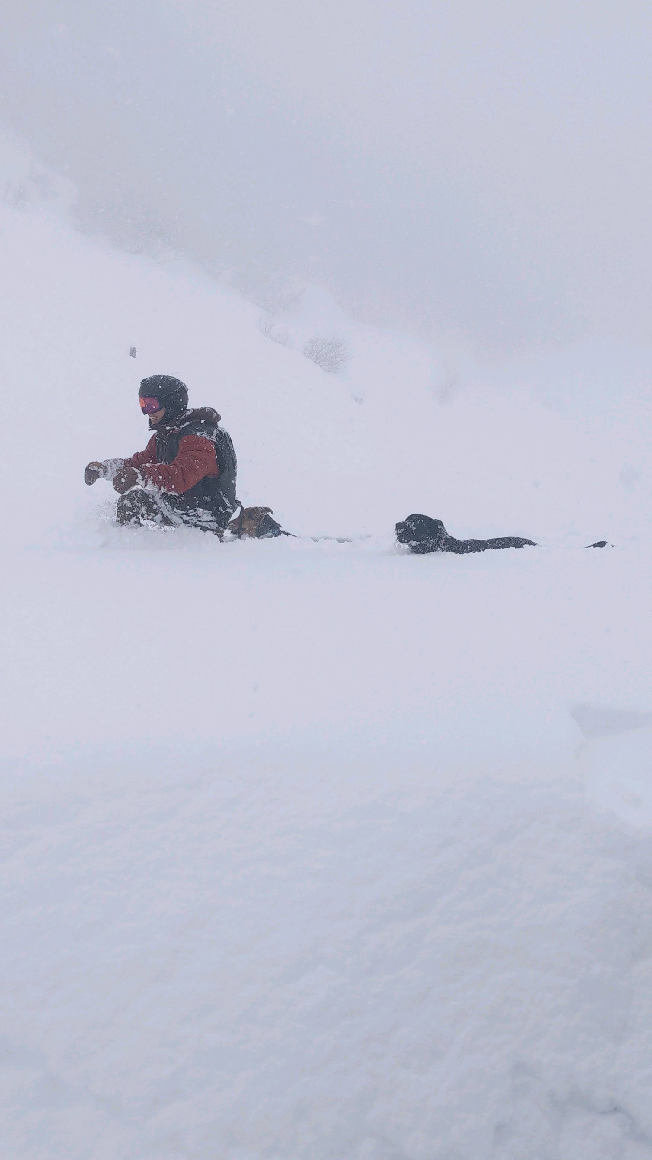 Has been a while since we've ventured over to #sekionsen @sekionsen and it was so nice to be surrounded by the same crew and vibes that make it such a special place to ride!
Not long till this powder paradise is completely filled in but we still had nice pockets and escaped the new years lift lines!
All bookings @gozanlodge.myoko include buffet European breakfast, 3 course dinner and onsen pass to our neighboring naena onsen 🙏😋
Whether it's a guided day or choosing your own adventure, leverage our decade of experience riding the good stuff in the nagano/niigata region. 🤙
We will give daily briefs at breakfast and dinner on the safety conditions so you can have extra confidence in your plans ❄️🤓
Get in contact via our site http://gozanlodge.jp or via DM
.
.
.
#gozanlodge #myoko #suginohara #sugi #akakura #ikenotaira #snowboarding #skiing #japanbackcountry #myokokogen #japow #sekionsen #splitboarding #nozawa #madarao #lottearai # #niseko #hakuba #nozawa #shikakogen
#妙高 #杉の原 #斑尾 #新潟 #長野 #五山 #関温泉 #赤倉 #池の平