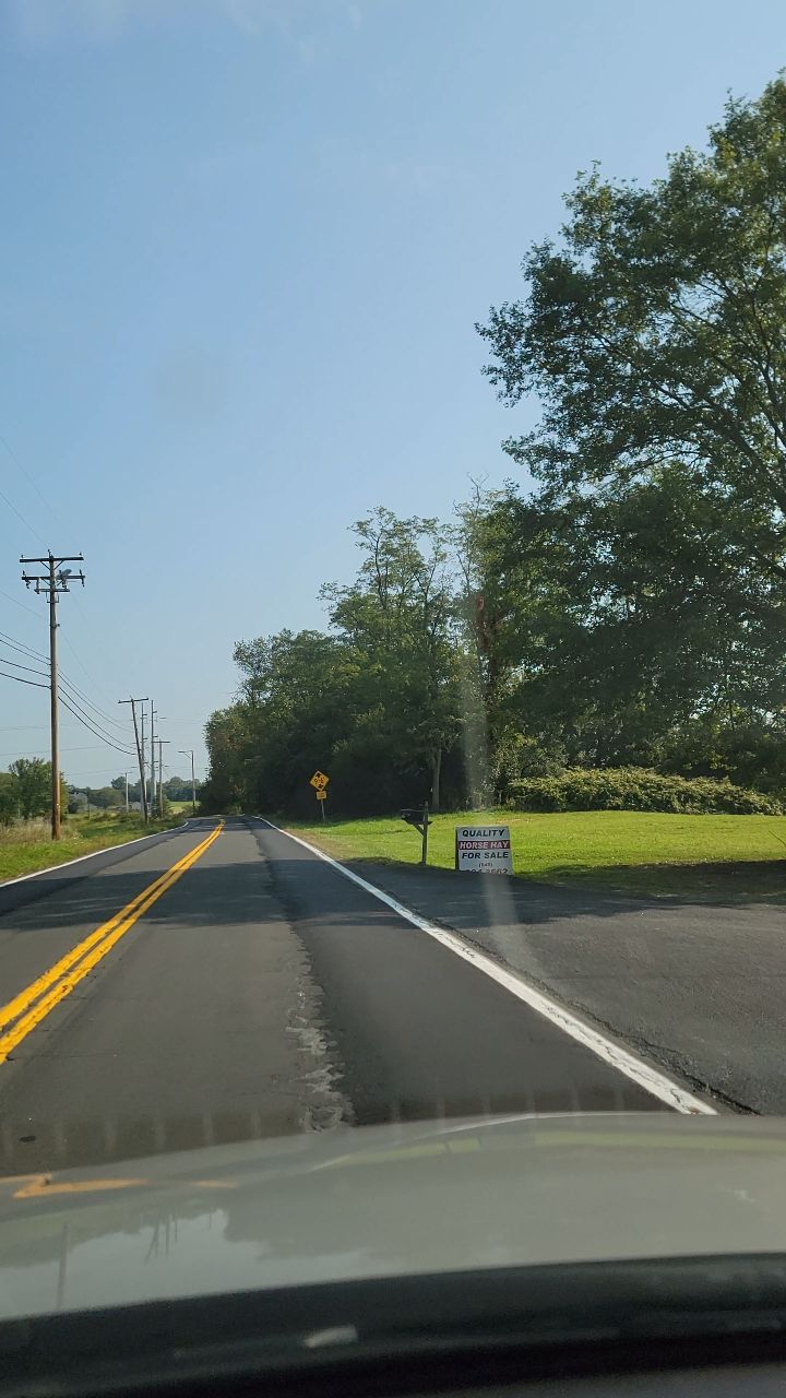 A day in the life of Kid!
@santahillranchbreedingbarn
@santahillranch
.
#hudsonvalley #hudsonvalleyny #santahillranch #pov #barnlife #thekidsgottagun #stallion #nrha #reining #reininghorse #slideofyourlife #horse #horseriding #equestrianlife #equestrian #reininglife #horsebreeding #stallionhorse #champion #reiningstallion #portrait #horselife #breederlife #headshot #halter #reininglife