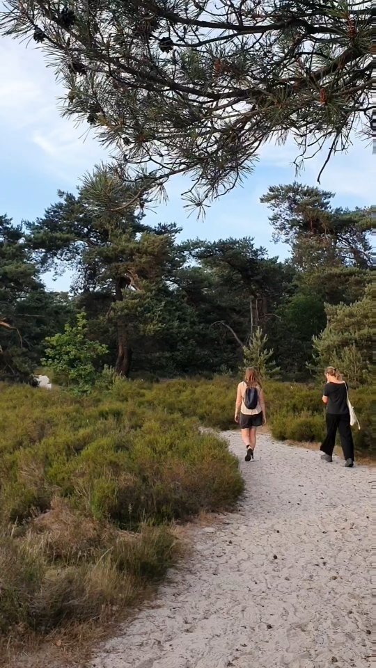 Op stap met "wandelclub van't padje (af)" , aka vriendinnen. Vandaag stond de 4e wandeling op het programma: wandelpad Duin.
Een wandeling van 7.5 km met start in de Vroente in Kalmthout. Je wandelt door de uitgestrekte heide. Zoals de naam doet vermoeden wandel je door de duinen, dus veel los zand. Je beentjes zullen het dus mogelijks voelen. 😉
Je kan op de uitkijktoren klimmen en nadien iets drinken of eten in @bosbarkalmthout . Ze hebben o.a. (vegan) aardbeiensorbet en ik zag ook een vegan burger op de kaart staan.
@grensparkkalmthoutseheide
@visitkalmthout
@gemeentekalmthout
#wandelenindenatuur #wandeleninbelgie #kalmthoutseheide #kalmthout