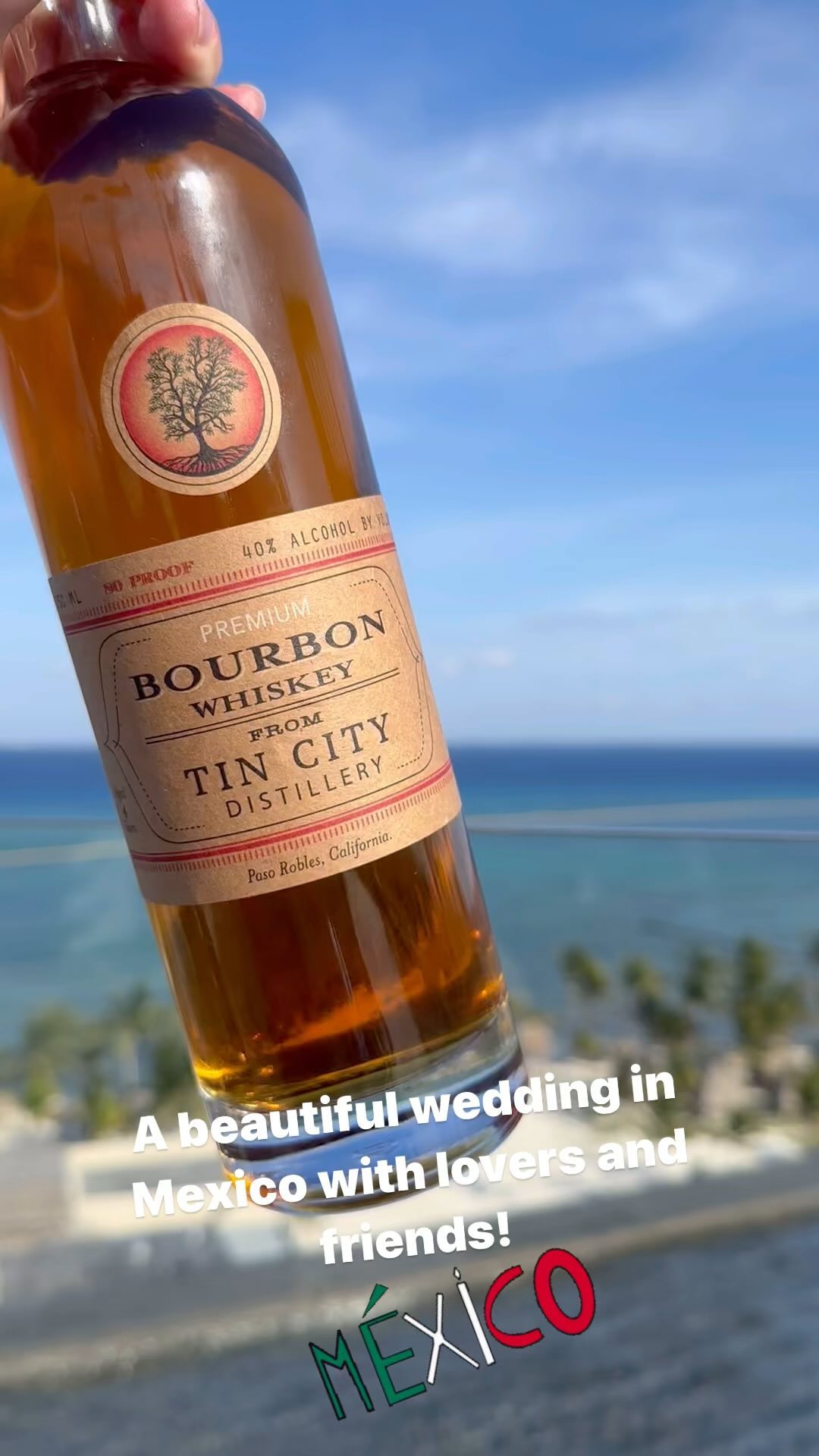 Love is love, wherever you are on the globe! Congratulations @devonflorance and @e_l_l_i_o_t_t !!! Viva Mexico! #mexico #wedding #weddingofficiant #officiant #officiantlife #weddingday #marriage #weddingplanning #distillery #whiskey #love