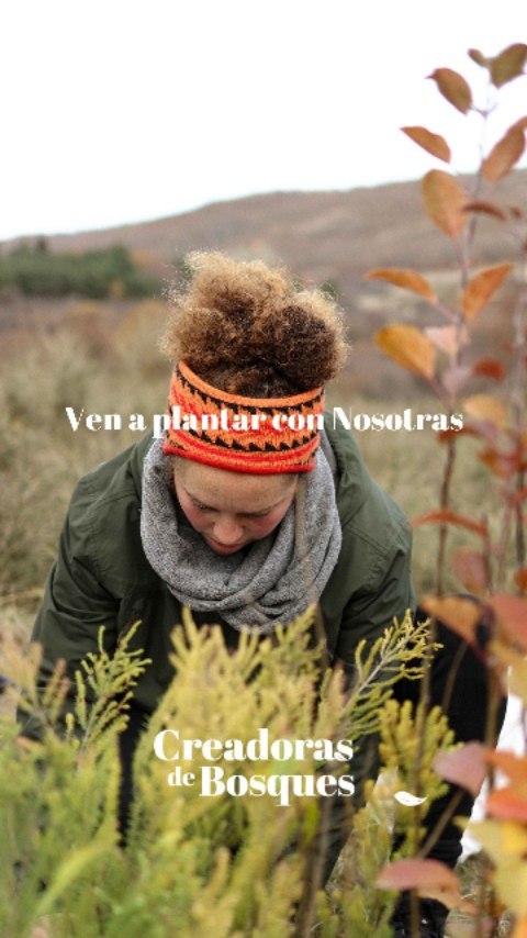 Ven a plantar con Nosotras 💚🌱👇🏻
Si siempre te has preguntado cómo es plantar un árbol ahora puedes descubrirlo. 😍
Apúntate a nuestra Newsletter y podrás enterarte de dónde y cuándo plantamos.🌱🌱🌱
Pasarás a formar parte de nuestra lista de voluntarias y podrás apuntarte y venirte con Nosotras a donde tú quieras. 👩🏼🤝👩🏻👩🏻🤝👩🏽👭🏼
Tienes el enlace en la BIO.✨
#creadorasdebosques
#mujeresconectadas
#conectadasalatierra
#plantaciones