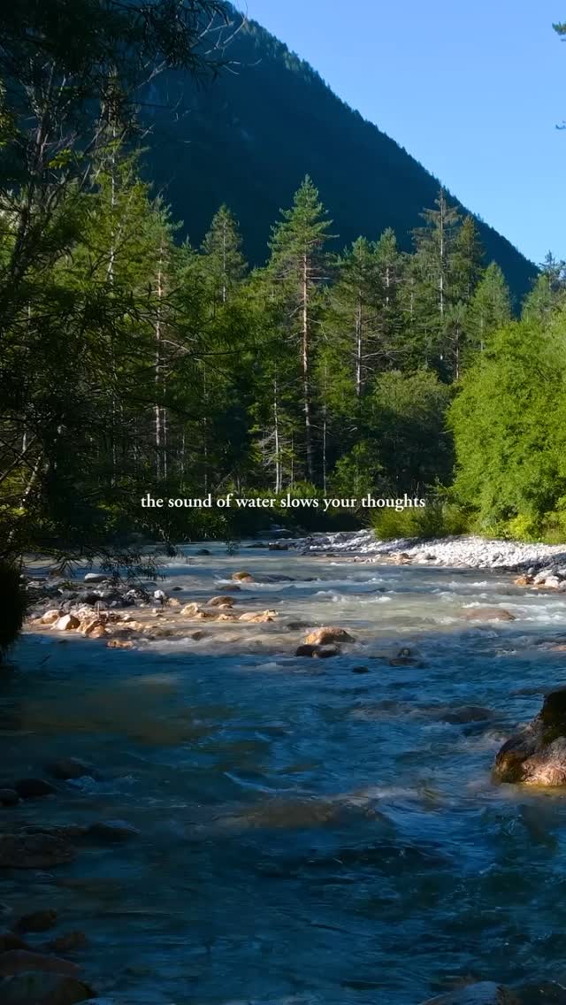 Let it untangle your mind 🌊
Share with someone who’ could use some nature therapy 💚
#relaxwithnature #naturescape #mindfulmoments #naturesounds